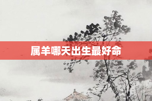 属羊哪天出生更好命