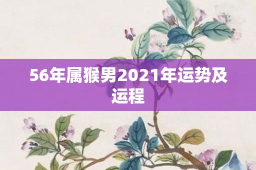 56年属猴男2021年运势及运程