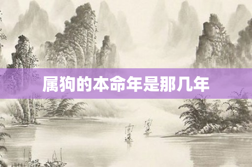 属狗的本命年是那几年