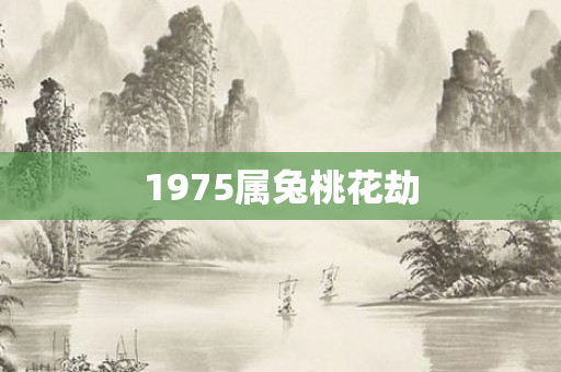 1975属兔桃花劫