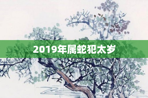 2019年属蛇犯太岁