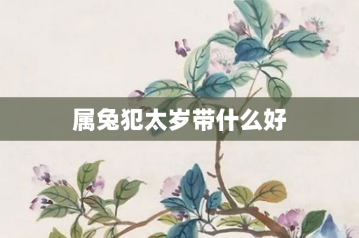 属兔犯太岁带什么好