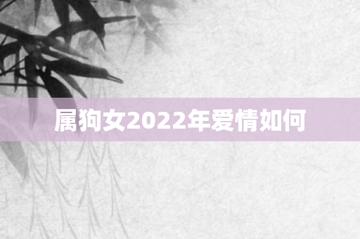 属狗女2022年爱情如何