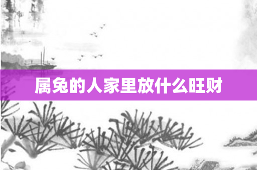 属兔的人家里放什么旺财