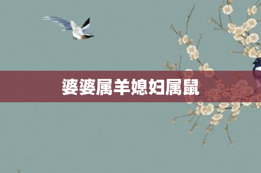 婆婆属羊媳妇属鼠