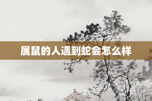 属鼠的人遇到蛇会怎么样