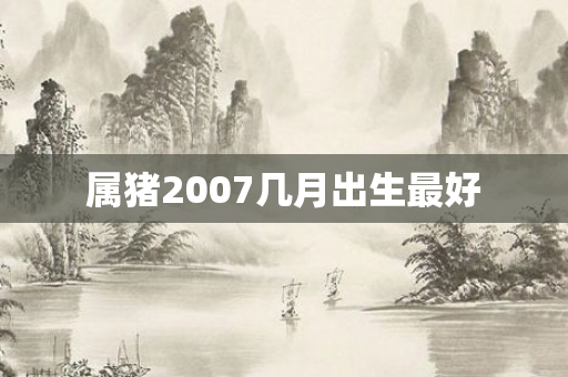 属猪2007几月出生更好