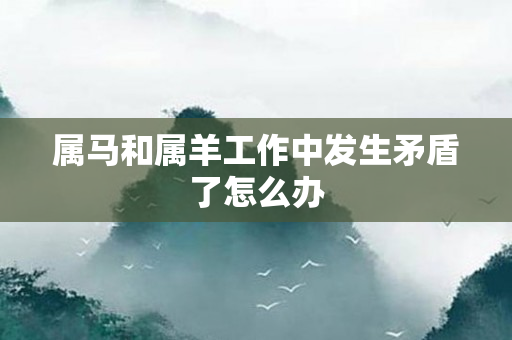 属马和属羊工作中发生矛盾了怎么办