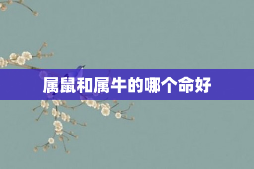 属鼠和属牛的哪个命好
