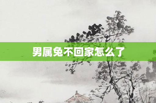 男属兔不回家怎么了
