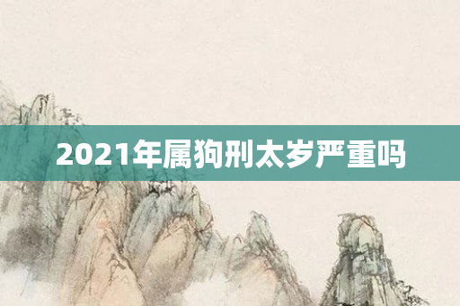 2021年属狗刑太岁严重吗