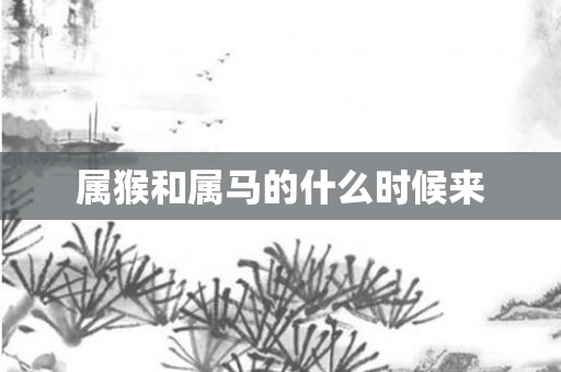 属猴和属马的什么时候来