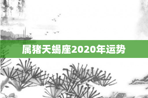 属猪天蝎座2020年运势