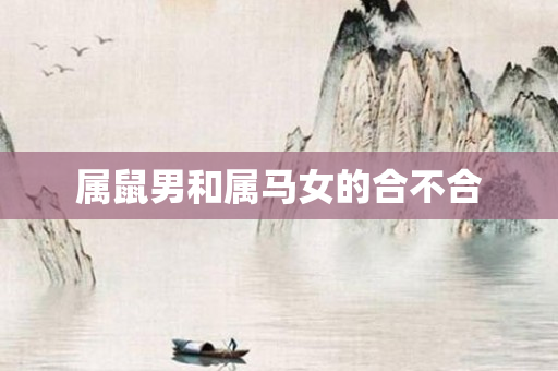属鼠男和属马女的合不合