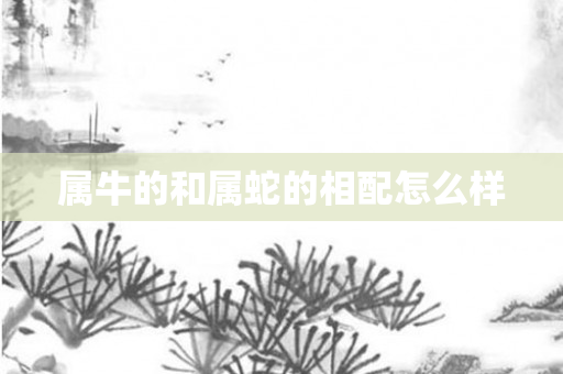 属牛的和属蛇的相配怎么样