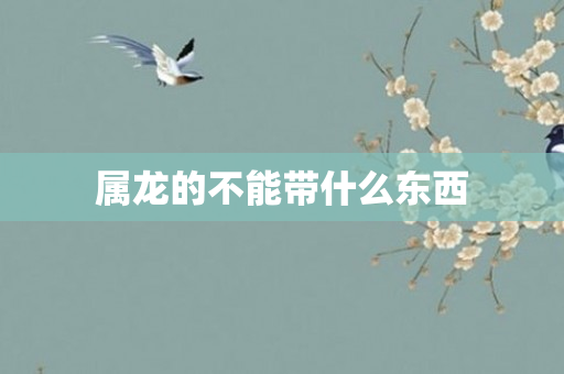 属龙的不能带什么东西