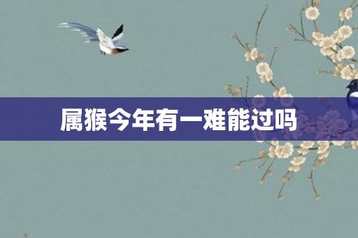 属猴今年有一难能过吗