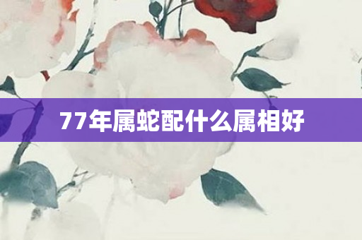 77年属蛇配什么属相好