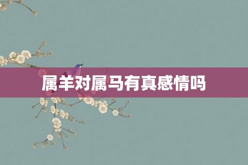 属羊对属马有真感情吗