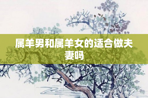 属羊男和属羊女的适合做夫妻吗