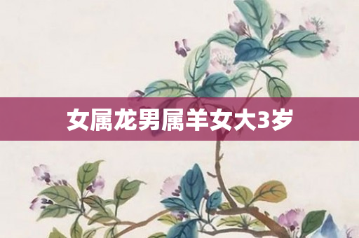 女属龙男属羊女大3岁