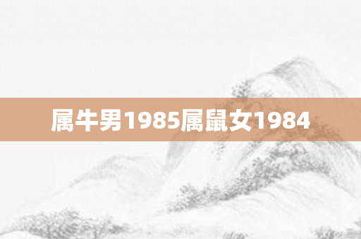 属牛男1985属鼠女1984