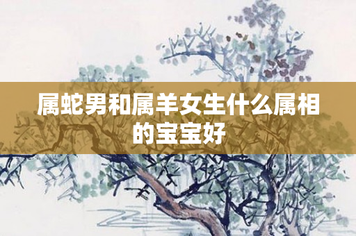 属蛇男和属羊女生什么属相的宝宝好
