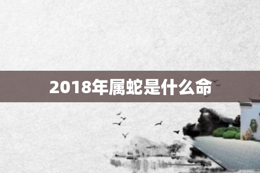 2018年属蛇是什么命