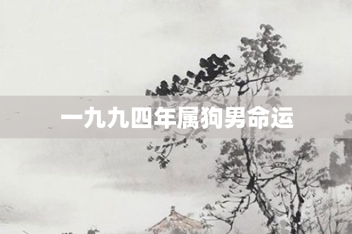一九九四年属狗男命运