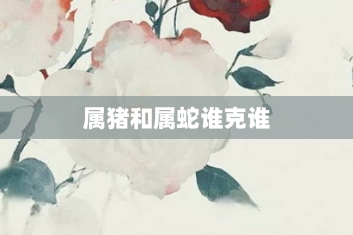属猪和属蛇谁克谁