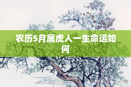 农历5月属虎人一生命运如何