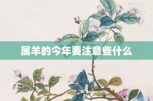 属羊的今年要注意些什么