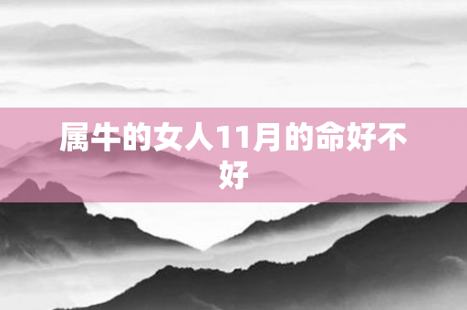 属牛的女人11月的命好不好