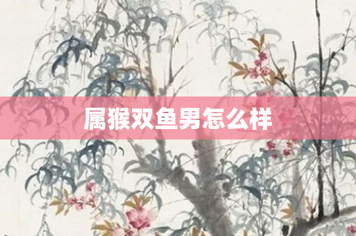属猴双鱼男怎么样