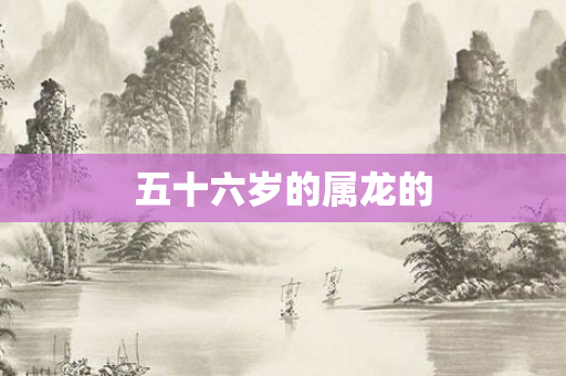 五十六岁的属龙的