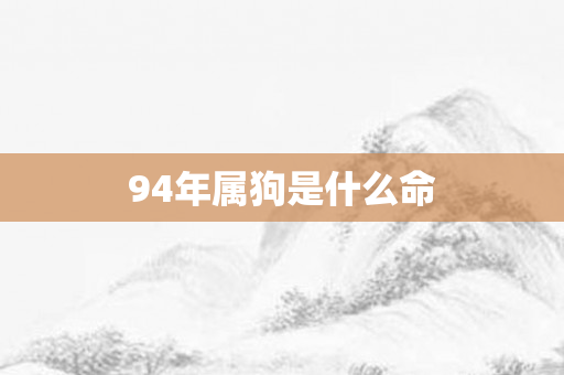 94年属狗是什么命