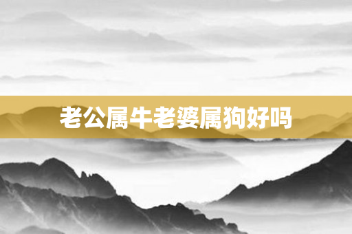 老公属牛老婆属狗好吗