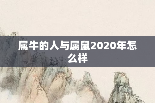 属牛的人与属鼠2020年怎么样