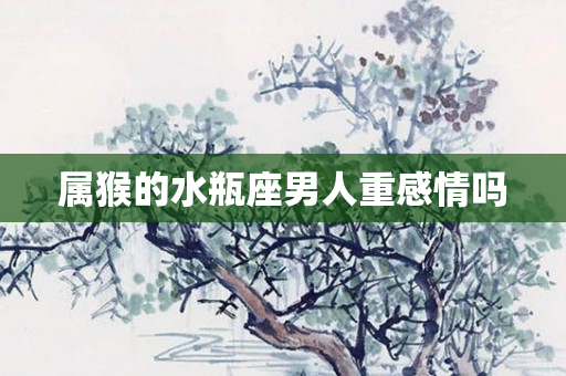 属猴的水瓶座男人重感情吗