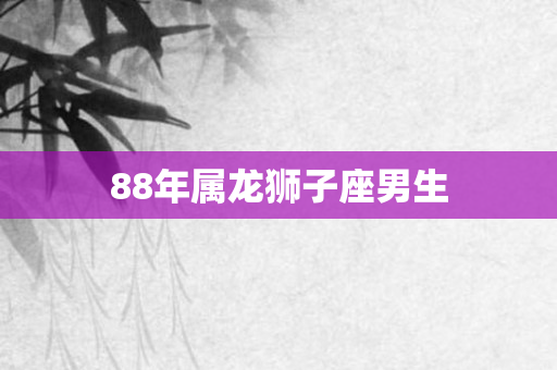 88年属龙狮子座男生