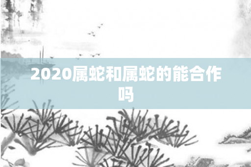 2020属蛇和属蛇的能合作吗