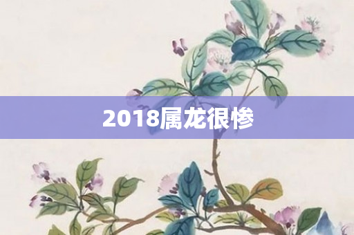2018属龙很惨