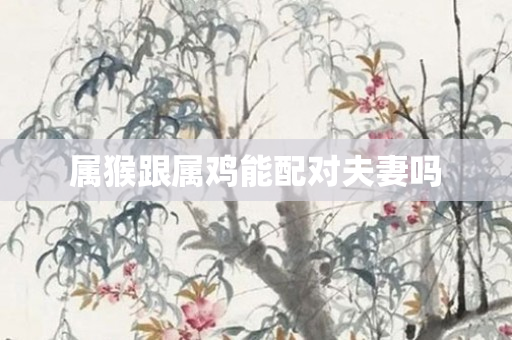 属猴跟属鸡能配对夫妻吗