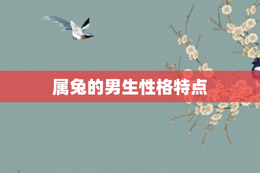 属兔的男生性格特点