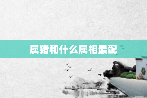 属猪和什么属相最配