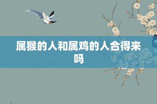 属猴的人和属鸡的人合得来吗