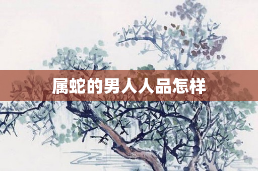 属蛇的男人人品怎样