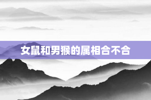 女鼠和男猴的属相合不合
