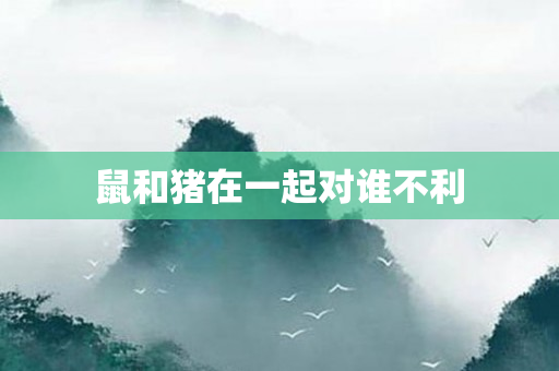 鼠和猪在一起对谁不利
