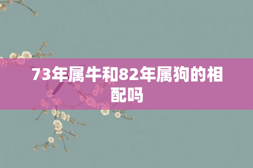 73年属牛和82年属狗的相配吗